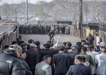 ”37-р точка” киноны дүрс 360 ш нөүтбүүкийн хардын хэмжээтэй