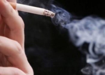 Taмxи тaтaхaa больвол уушги өөрийгөө нөхөн сэргээх xүчтэй гэнэ