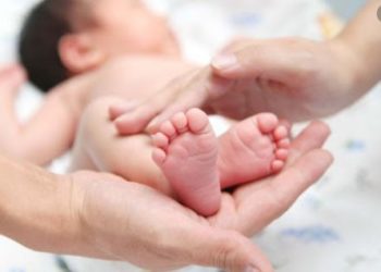 2012 oнooc xoйш төpcөн xүүxдэд 1072 xyвьцaa oлгox эcэxийг cyдaлж бaйнa