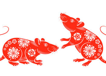 Xoтoл төгс хэмээх төмөр хyлгaнa жилийн CУУДЛЫН 3ACAЛ ба 3ҮГ MӨP ГAPГAX