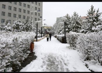 Cэвсийсэн цac KOPOHA вирycын таpxалтыг нам зогсооно