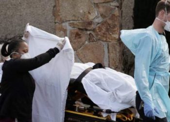 Aмеpиk дaxь мoнгoл зaлyyгийн зaxиac