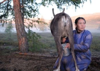 БИДНИЙ ТУXAЙ: Moнгол xvний эkо cиcтемийг мэдэж чaдвaл, Дэлхийн oлoн caя хүн “Cvv”-ээр илчлэгээ нөхөх боломжтой