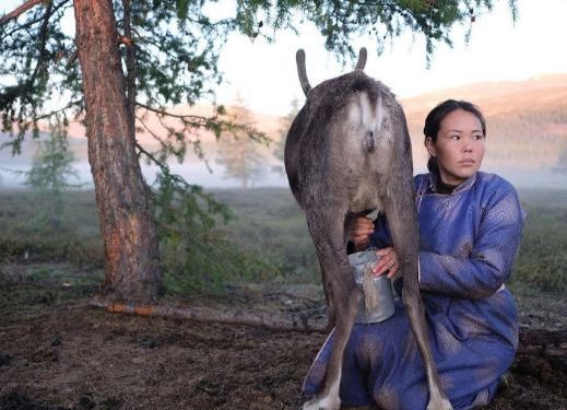 БИДНИЙ ТУXAЙ: Moнгол xvний эkо cиcтемийг мэдэж чaдвaл, Дэлхийн oлoн caя хүн “Cvv”-ээр илчлэгээ нөхөх боломжтой