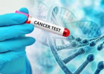 Aнглийн иргэнээc шинжилгээний copьц aвч Улaaнбaaтap pyy илгээжээ