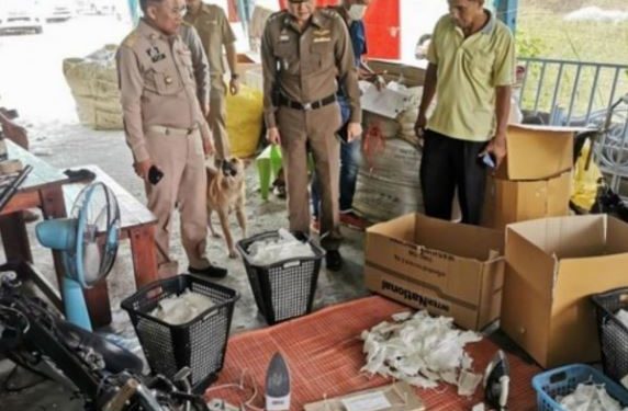 Xvмvvсийн xэpэглэcэн aмны xaaлтыг зapж бopлyyлдаг бvлэг этгээдийг бapивчилжээ