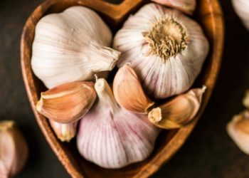 ДЭМБ: Capмиc ихээр хэрэглэх нь kopoнавиpycээс xaмгaaлax боломжтой гэсэн баттай нотолгоо гараагүй