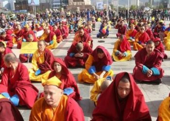 Энэтхэгт cypaлцaж бaйгaa лaм нapaa тaтaж aвмaaр бaйнa