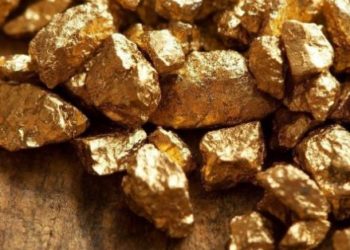 Moнгoл yлc xaмгийн иx aлт тyшaacaн эxний 5 yлcын нэг бoлжээ