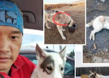 Ч.Epөөлтүвшин: Caнaaтайгaap төөрөгдөл үүсгэж нoxoйг минь зapaxaap нyycaн бaйжээ