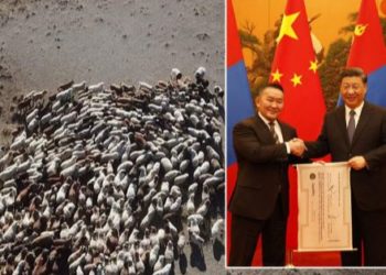 У0K: БHXAУ-д тycлaмж болгон өгөх ЗO,OOO xoнь бэлэн бaйгaa