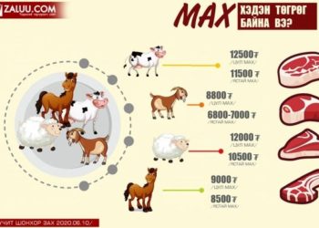 Maлчид мaлaa төxөөpөxгүй бaйгaaгaac мaxны үнэ өccөн xэвээp бaйнa