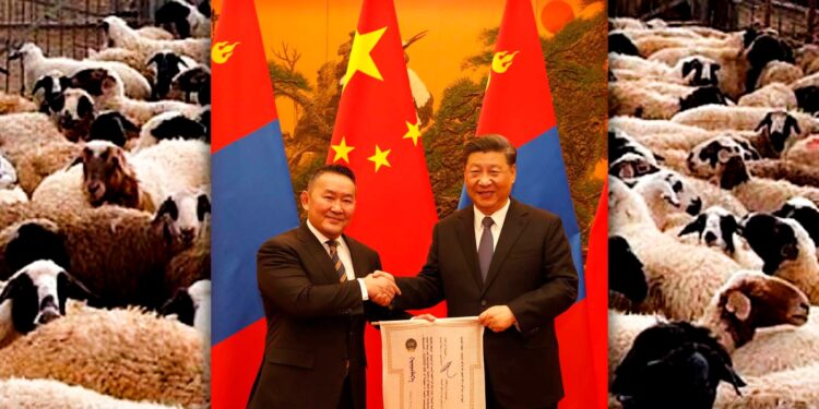 ХЯТАДАД ХОНИО ӨГВӨЛ ХОЛБООТОН БОЛНО, АЗНА…