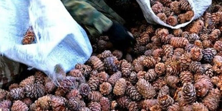 ОЙН БАЙЦААГЧ ИРГЭДЭД БУУ ТУЛГАН ДЭЭРЭМДЭЖ БАЙНА!!!