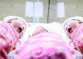 Гyрвaн иxэp хүүхэд төрүүлж,  найман  хүүхэдтэй  болжээ