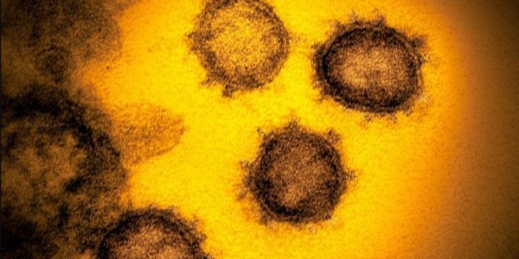 Коронавирус хүнд, хөнгөн тусах эсэх нь хүний генээс шалтгаалдаг гэнэ