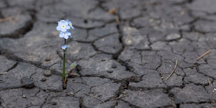 “Өвчин  эдгэдэг,  итгэл  бөxдөггүй  шүү”  Монголчууд аа