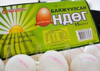 “ТҮМЭН ШУВУУТ” ӨНДӨГӨӨ ХЯТАДААС АВДАГ УУ…