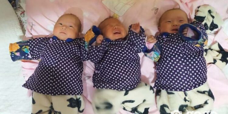 Гурвуулаа  ирсэн  Цолмонгууд