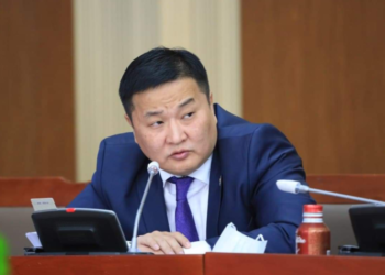 Ж.Сүхбаатар: Коронавирусын үед уух Арбидол гэх эмийн үнэ 5 дахин өссөн байна