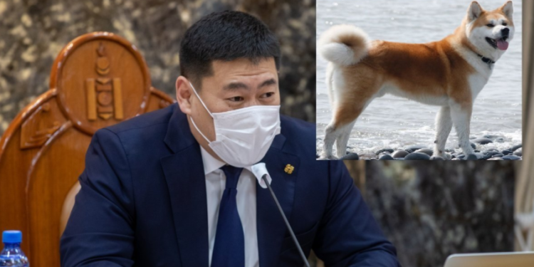 ЕРӨНХИЙ САЙД Л.ОЮУН-ЭРДЭНИЙН АВСАН ҮНЭТЭЙ НОХОЙ БА “БЭЛЭГ”