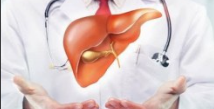 Эрүүл  байя  гэвэл  элгээ  хайрлаж, цэвэрлэж, эрүүл  байлгах ёстой