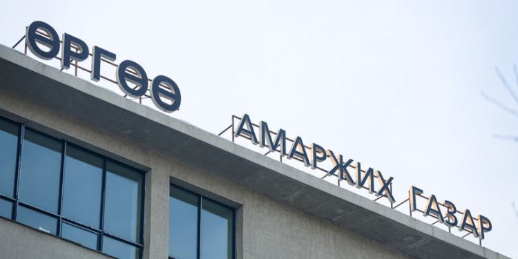 Тариа  андуурч  хийснээс  дөрвөн  хүүхэдтэй  ээж  амиа алдсан уу !!!