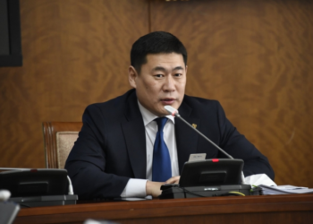 Л.Оюун-Эрдэнэ: Хэн  хэн  хаана  байгааг  харж авлаа