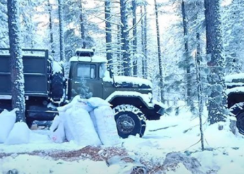 “Тэрбум  мод” тэнд  үхэж байна