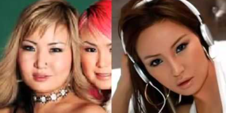 Дуучин Ану: Гоо сайхны мэс заслыг хүсээд байх зүйл бол биш юм байна