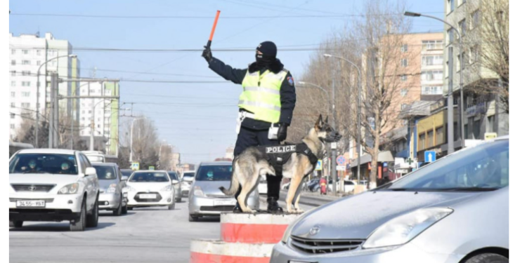 Эзэнтэйгээ хамт үүрэг гүйцэтгэж буй АРТЁМ