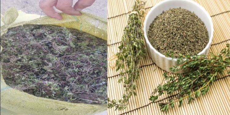 Ганга өвсний эмчилгээний долоон гайхамшиг гэнэ хадгалаад аваарай