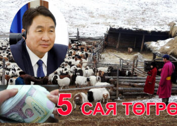 Хотоос хөдөө очсон иргэдэд мал олгож, 5 хүртэл сая төгрөгийн зээлийг хүүгүй олгохоор боллоо