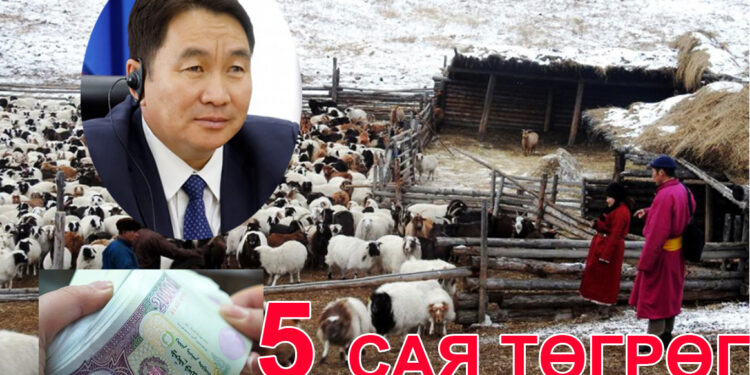 Хотоос хөдөө очсон иргэдэд мал олгож, 5 хүртэл сая төгрөгийн зээлийг хүүгүй олгохоор боллоо