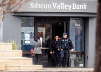 Цахиурын хөндий дэх дампуурал, 2008 оныг санагдуулам айдас