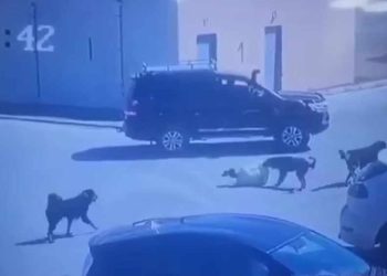Тусламж үзүүлээгүй жолооч тайлбар өгчээ