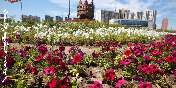 Дэлгэр зуныг өнгөлөг угтахаар эко дүүргийнхэн 250-300 мянга орчим цэцгийг тариад байна