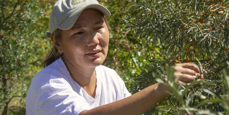 ХУД-ийн 10-р хорооны иргэн С. Оюундэлгэр: эко дүүргийн иргэн бүрийг хашаандаа мод тарьж, Эко орчинг бүрдүүлэхийг уриаллаа…