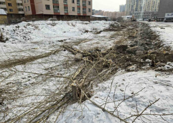 Сэлбэ голын даланг цэвэрлэж, усыг чөлөөтэй урсгахын тулд мод тайрсан гэв