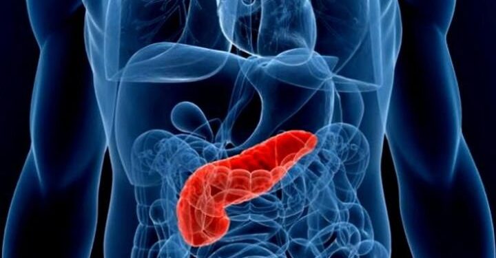 Хүүхдүүд нойр булчирхайн үрэвслээр өвчилж байна