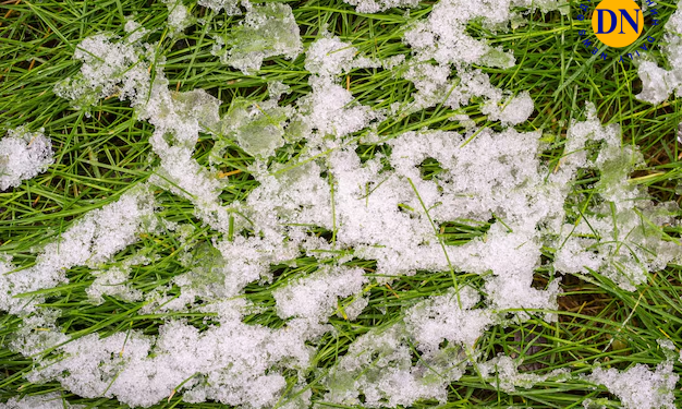 Зуслангуудын орчимд шөнөдөө хасах хэмд хүрч хүйтэрнэ