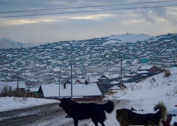 ТАЙЛАН: Монгол Улс бохирдлын асуудлаар дэлхийн 67 улсаас 67 дугаарт эрэмбэлэгдэж МУУ авчээ