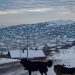 ТАЙЛАН: Монгол Улс бохирдлын асуудлаар дэлхийн 67 улсаас 67 дугаарт эрэмбэлэгдэж МУУ авчээ